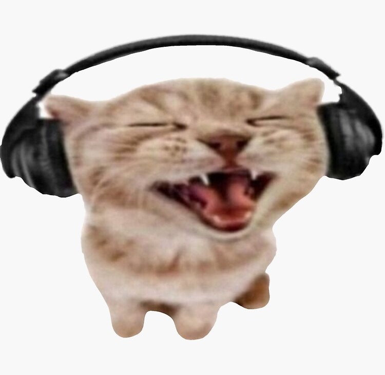 Headphone Cat